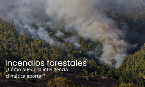 Incendios forestales_ TWP